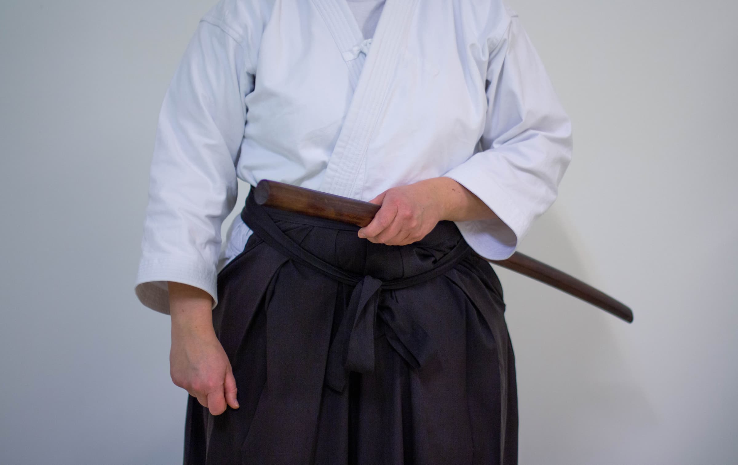 Shinkendo Training